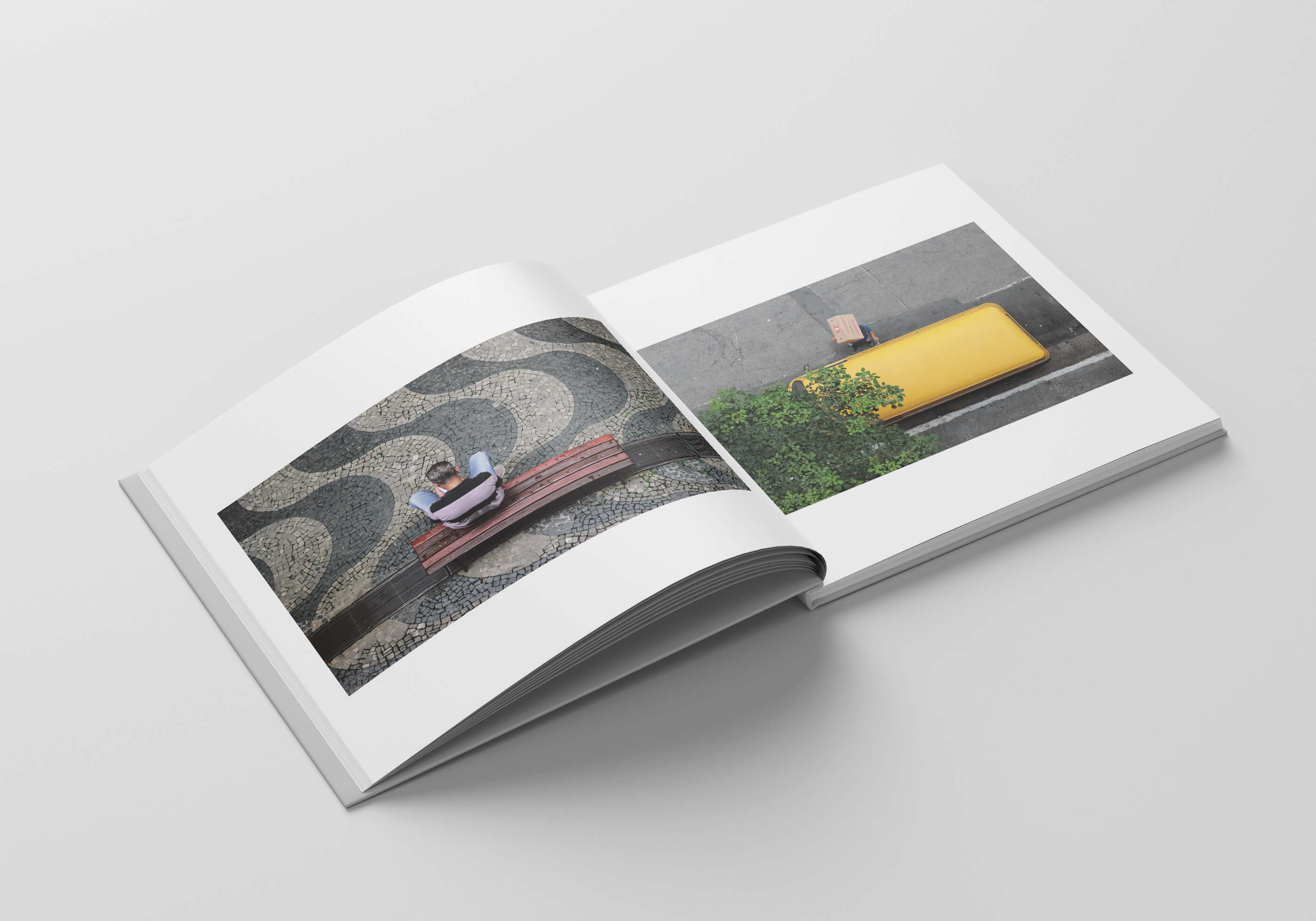 Open pages from Chaos & Order