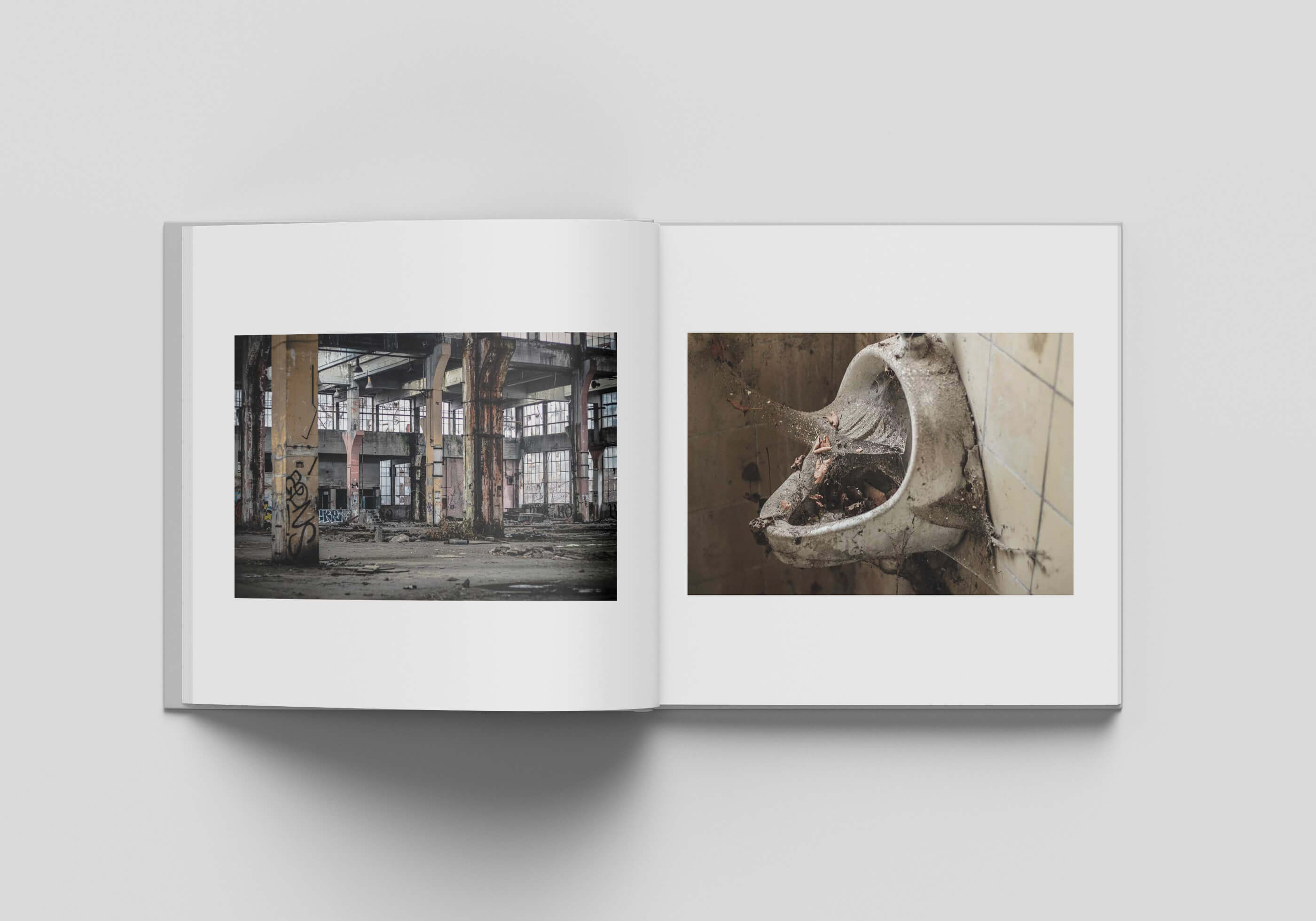 Interior pages from Chaos & Order