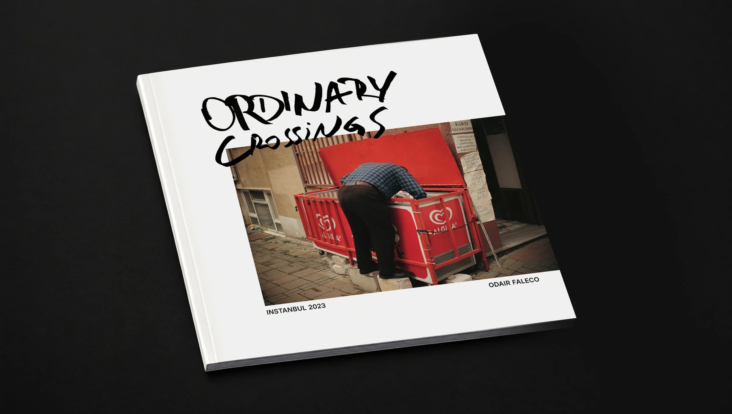 Ordinary Crossings: Istanbul 2023 paperback by Odair Faléco